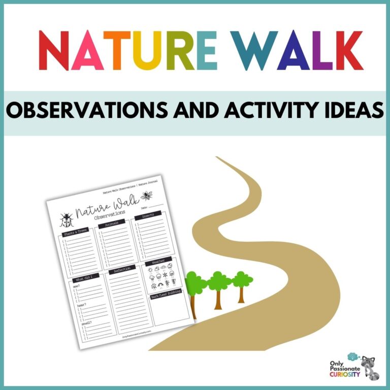 5 Reasons for Nature Walks + Observation Printable