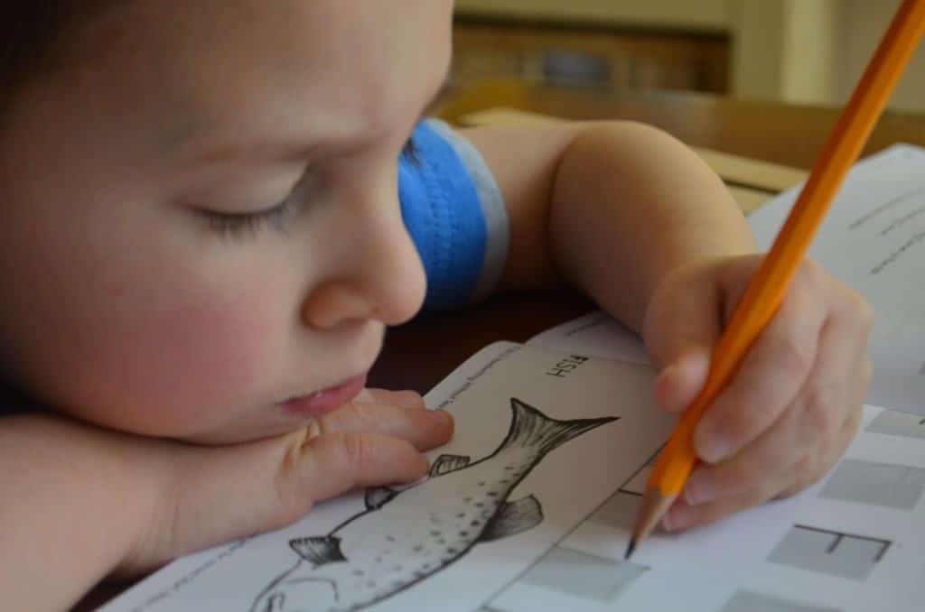 Handwriting Without Tears, A Multisensory Handwriting Program Review