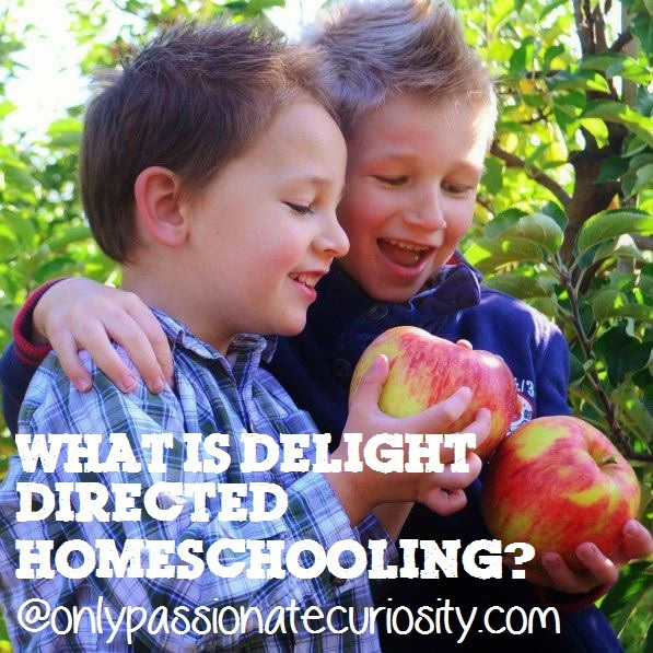 What do you mean, Delight Directed Learning?
