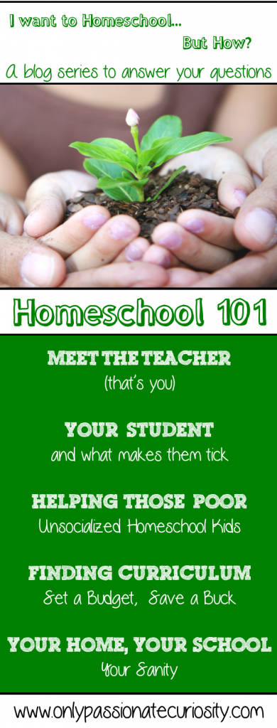 Homeschool101