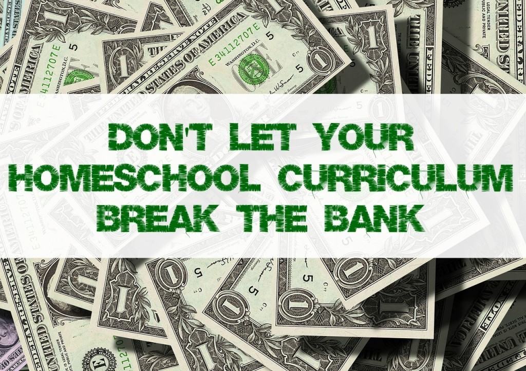 Homeschool 101: Buying Curriculum, Set a Budget, Save a Buck