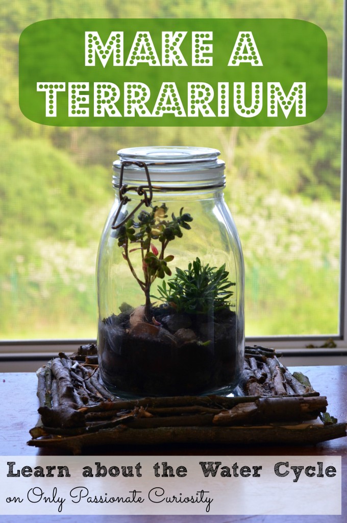 Make a Terrarium
