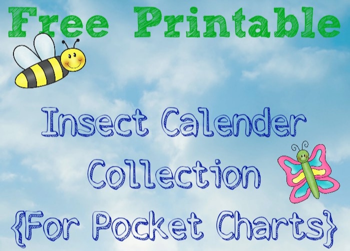 Insect Cards for Pocket Calenders {Free Printable}