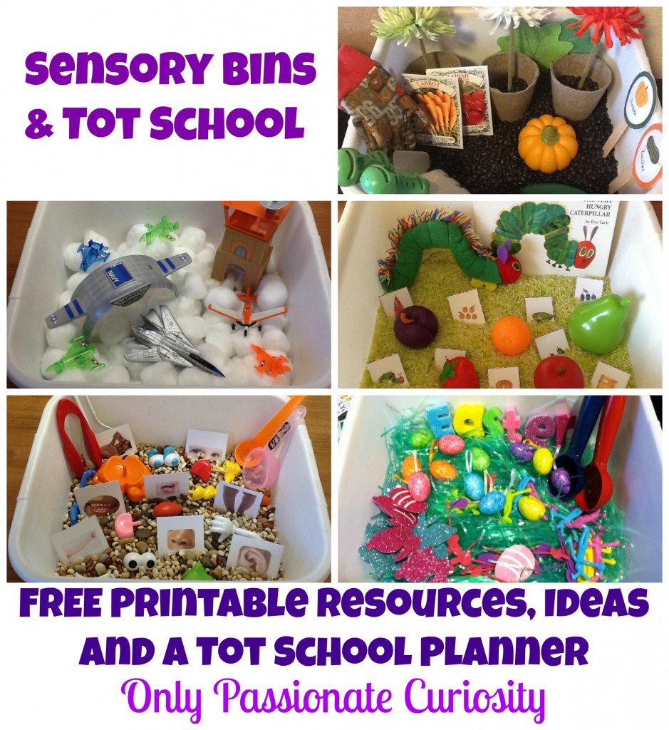 sensory bin - Free printable tot school planning resources