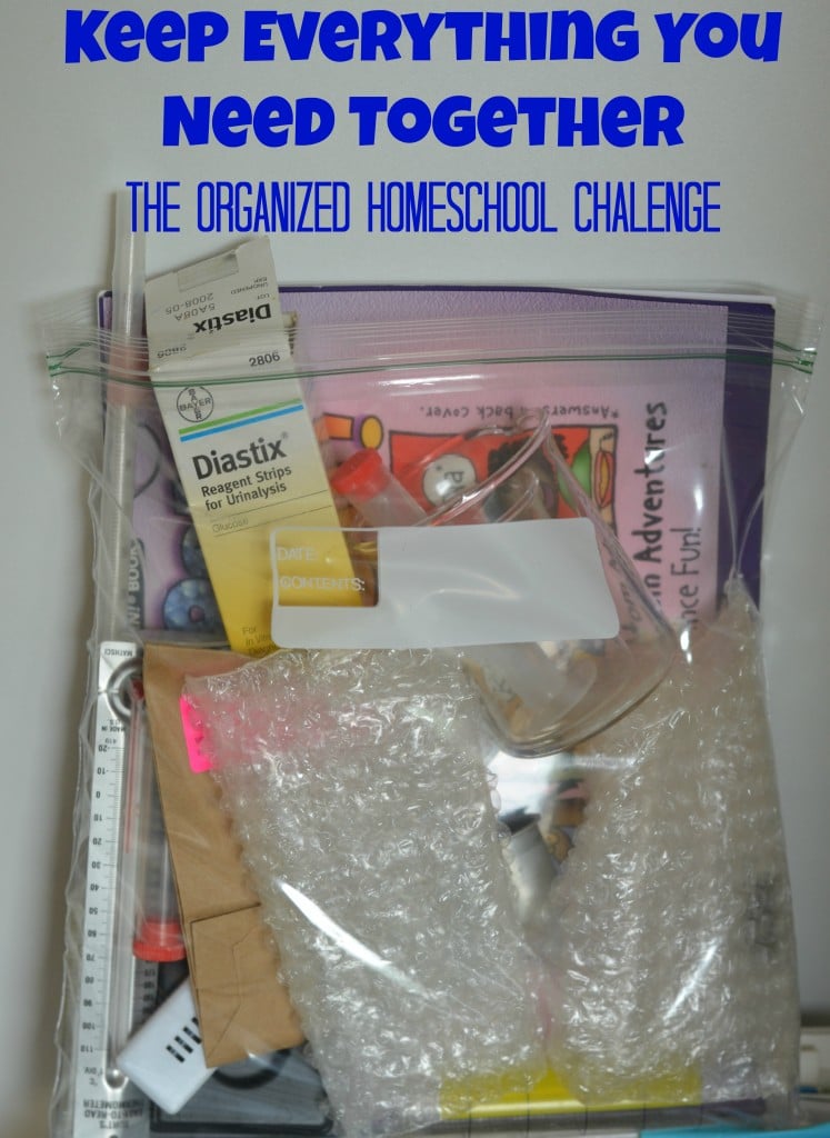 The Organized Homeschool Challege- I need to do this!