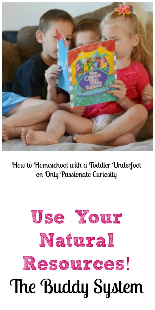 Use the Buddy System with your toddlers!