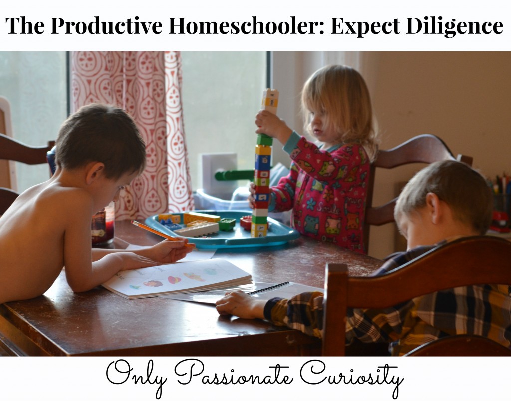 Expecting Diligence- the productive homeschooler