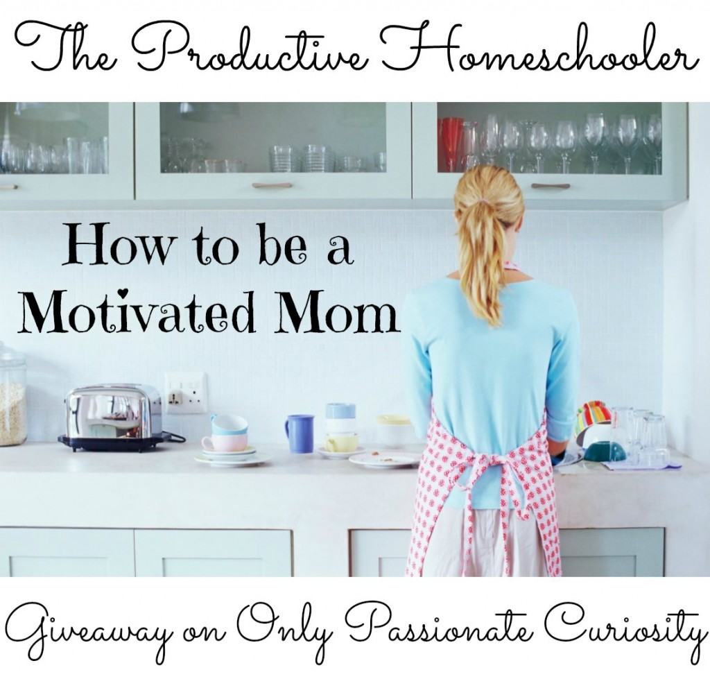 The Productive Homeschooler: Keeping Your Home Clean