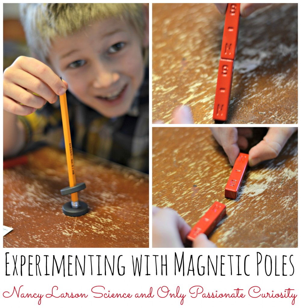 Magnetic poles and nancy larson science