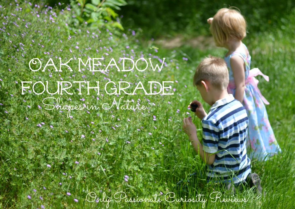Win a Full Year of Oak Meadow until June 5- Shapes in Nature