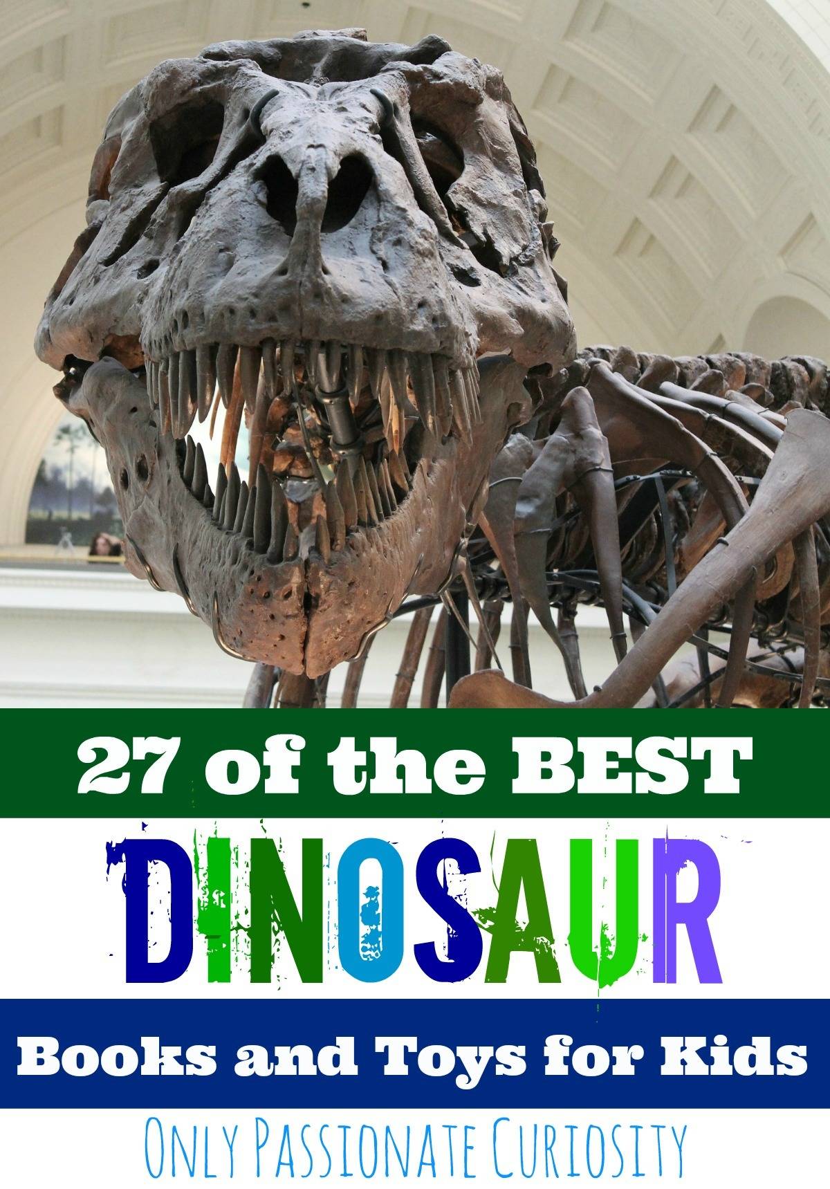 Dinosaur Books and Toys for Kids
