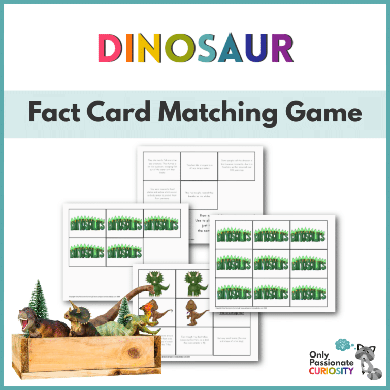 Dinosaur Fact Card Matching Game