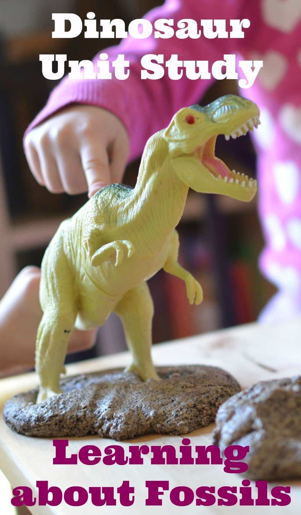 Learn about Fossils with Fossil Dough