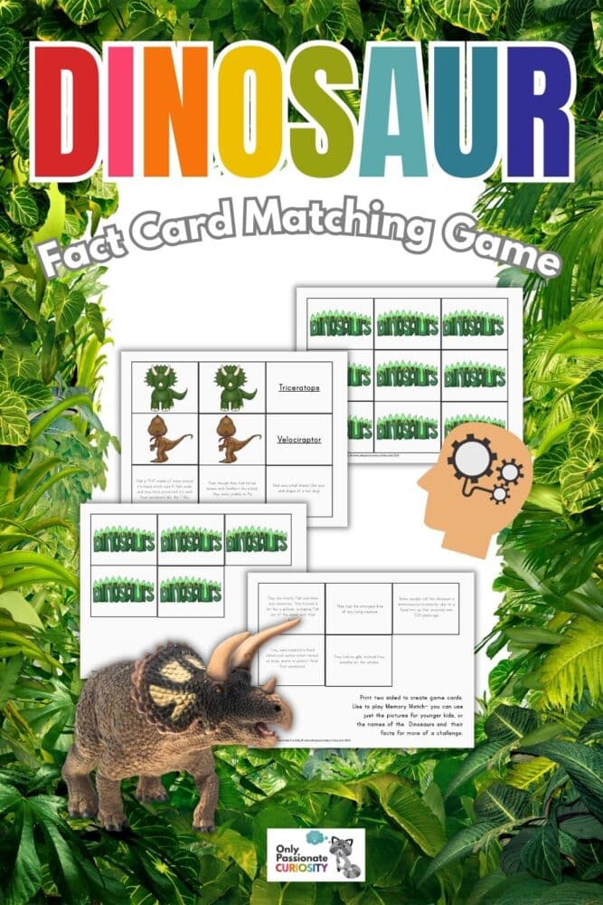 Dinosaur Fact Card Matching Game
