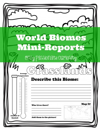 World Biomes Mini Reports
