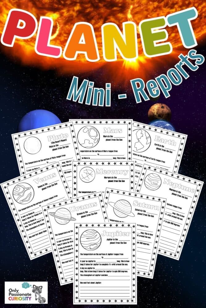 Planet Mini Reports