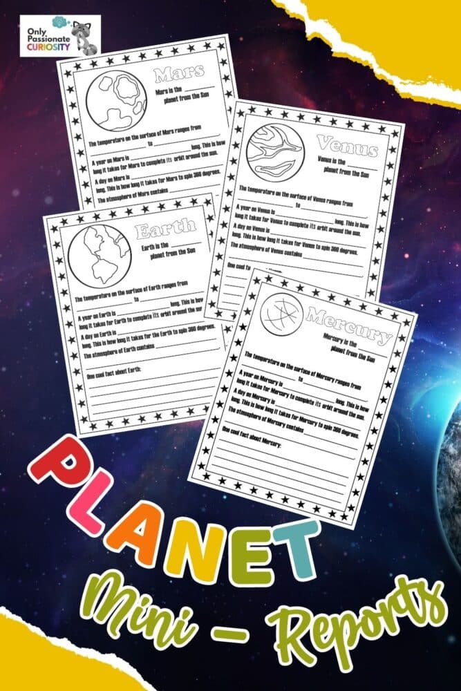 Planet Mini Reports