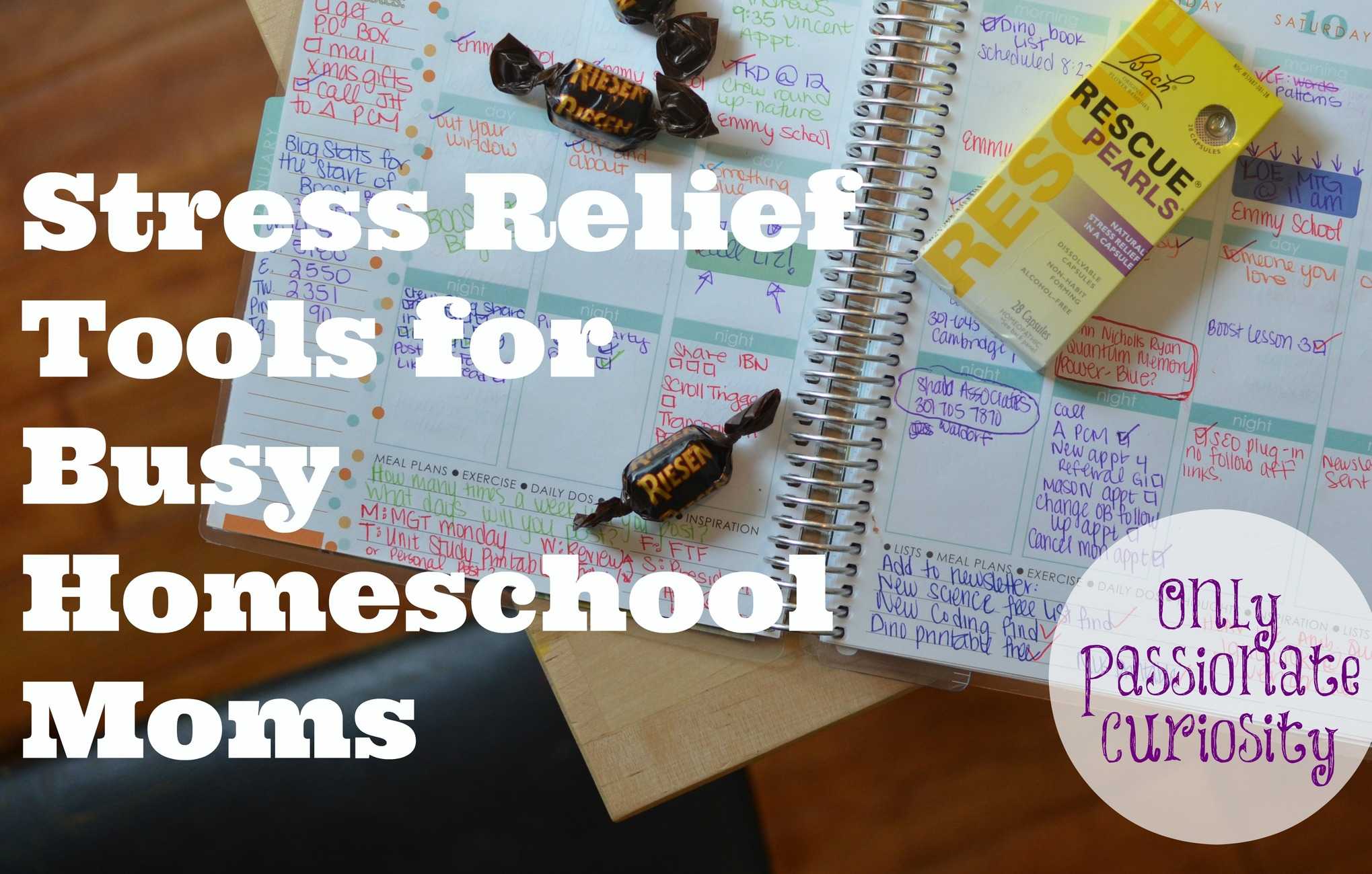 Rescue your Homeschool Day: Stress Relief for Homeschool Moms