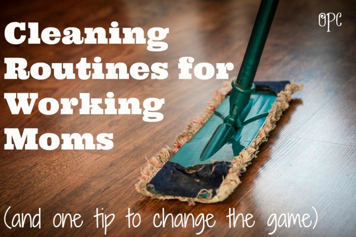 Cleaning Routines for Working Moms