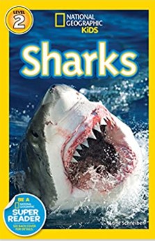Sharks book cover