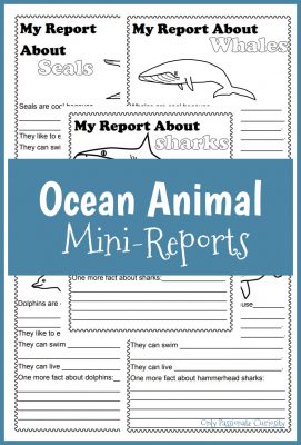 ocean animal mini reports