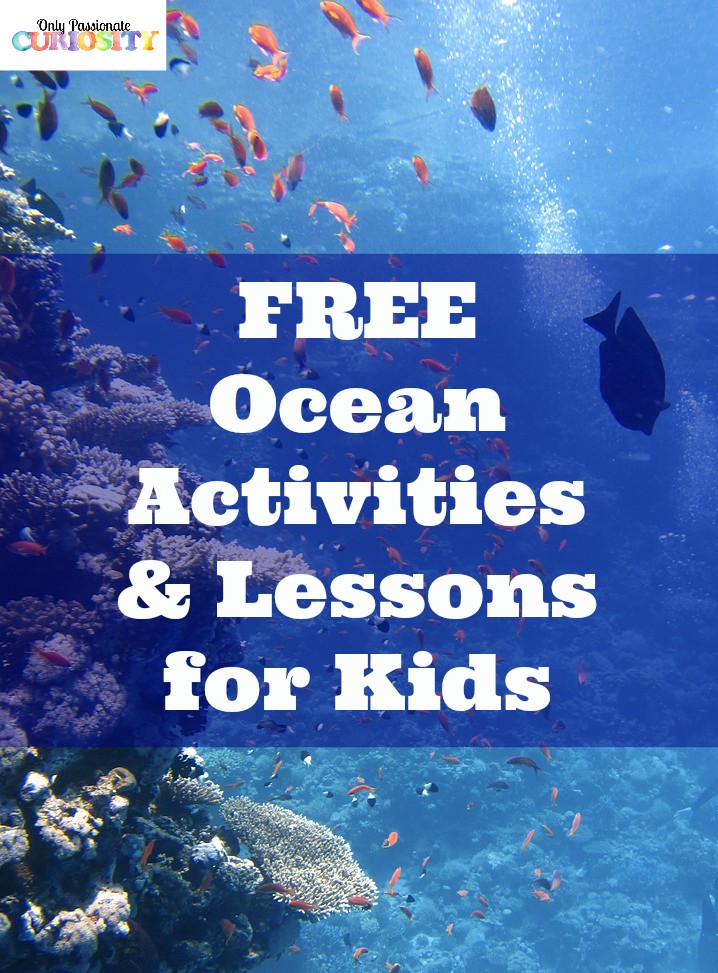 Free Ocean Activities for Kids