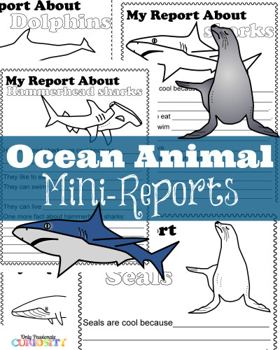 Ocean Animal Mini-Reports