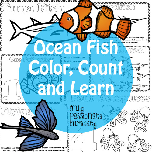 Ocean Fish Color Count and Learn