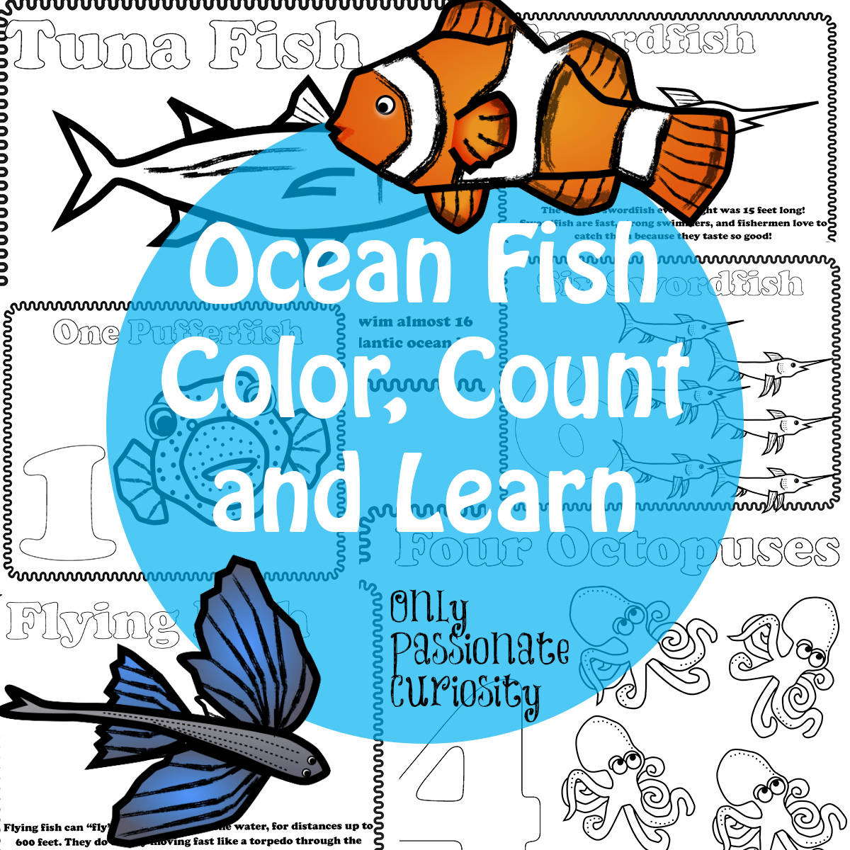 Ocean Fish Color, Count and Learn Pack
