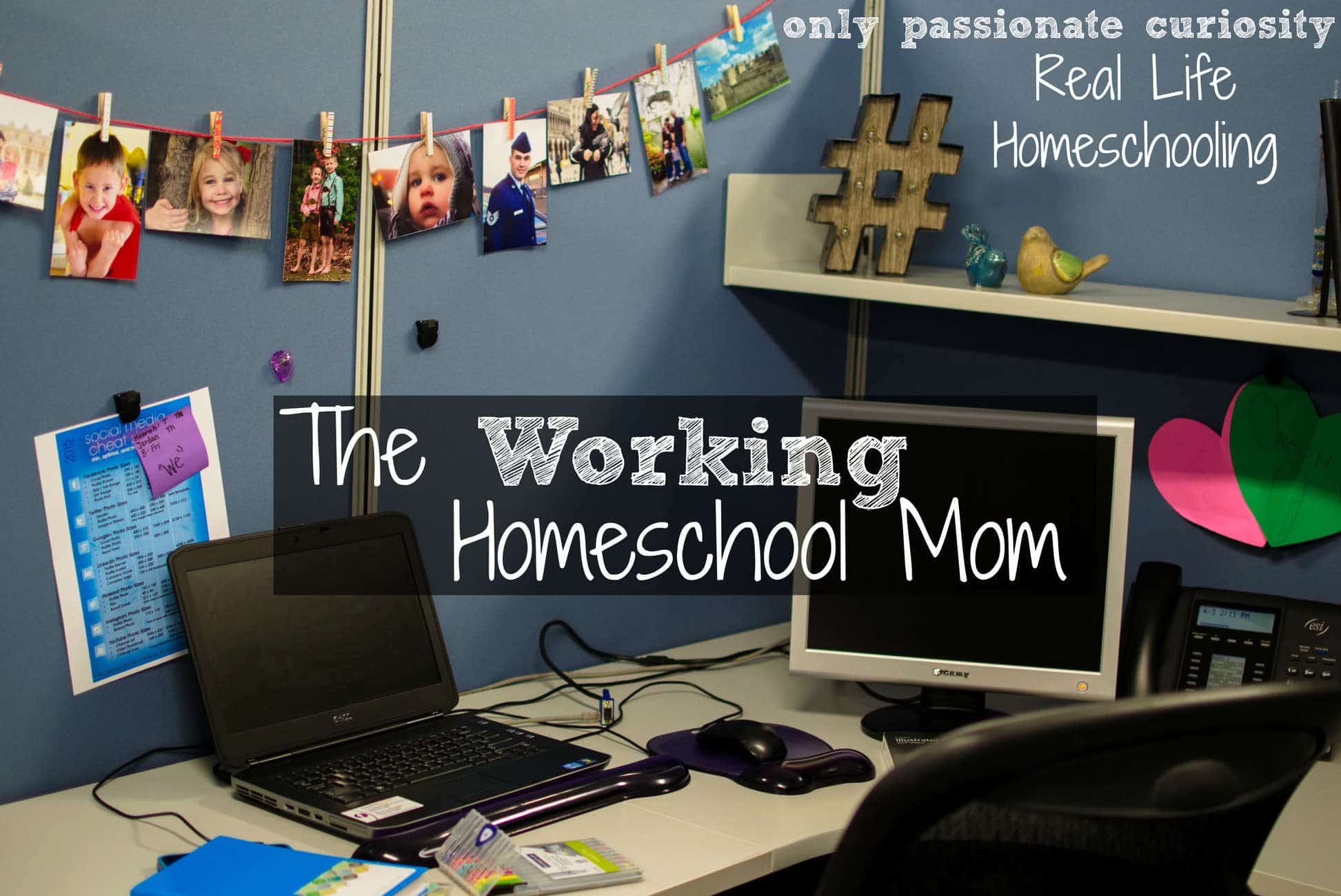 The Working Homeschool Mom