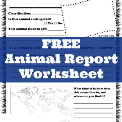 Animal Report Worksheet