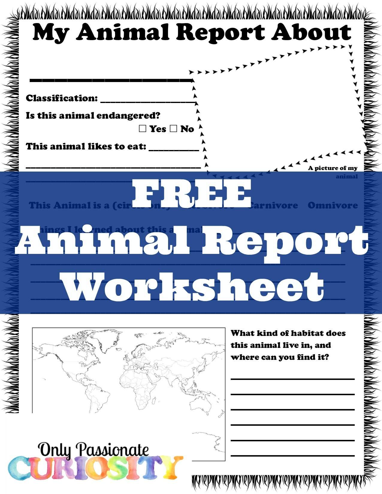 Free Animal Report Worksheet