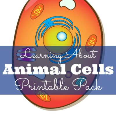 Animal Cell Printable Pack