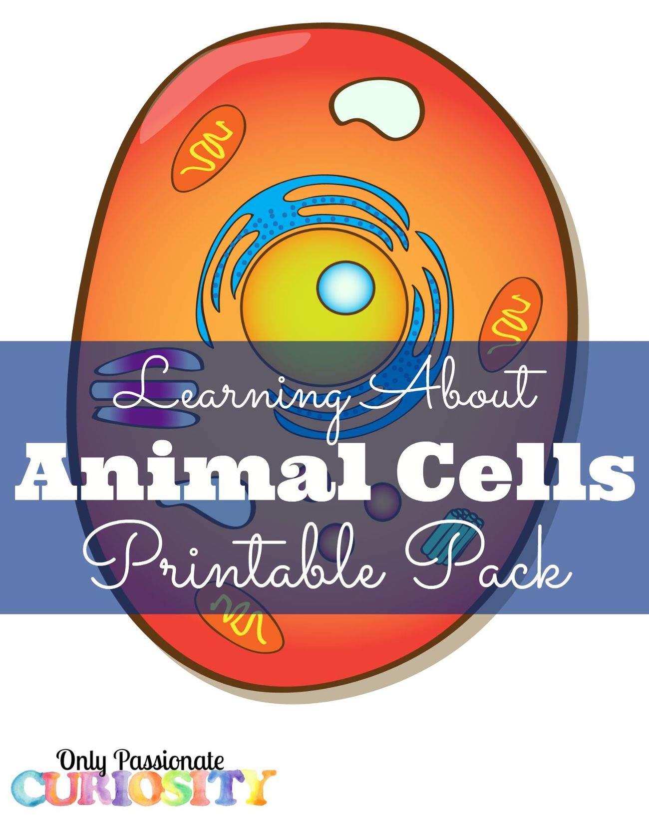 Animal Cells Printable Pack