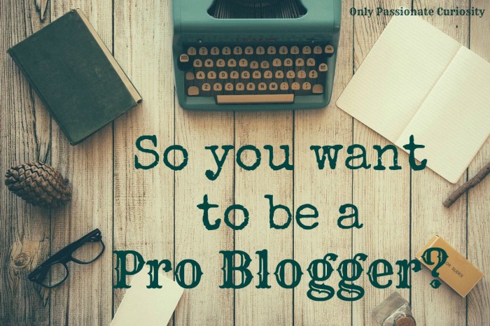 Pro-Blogger