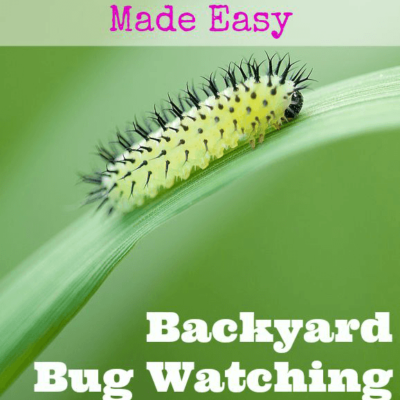 Backyard Bug Book