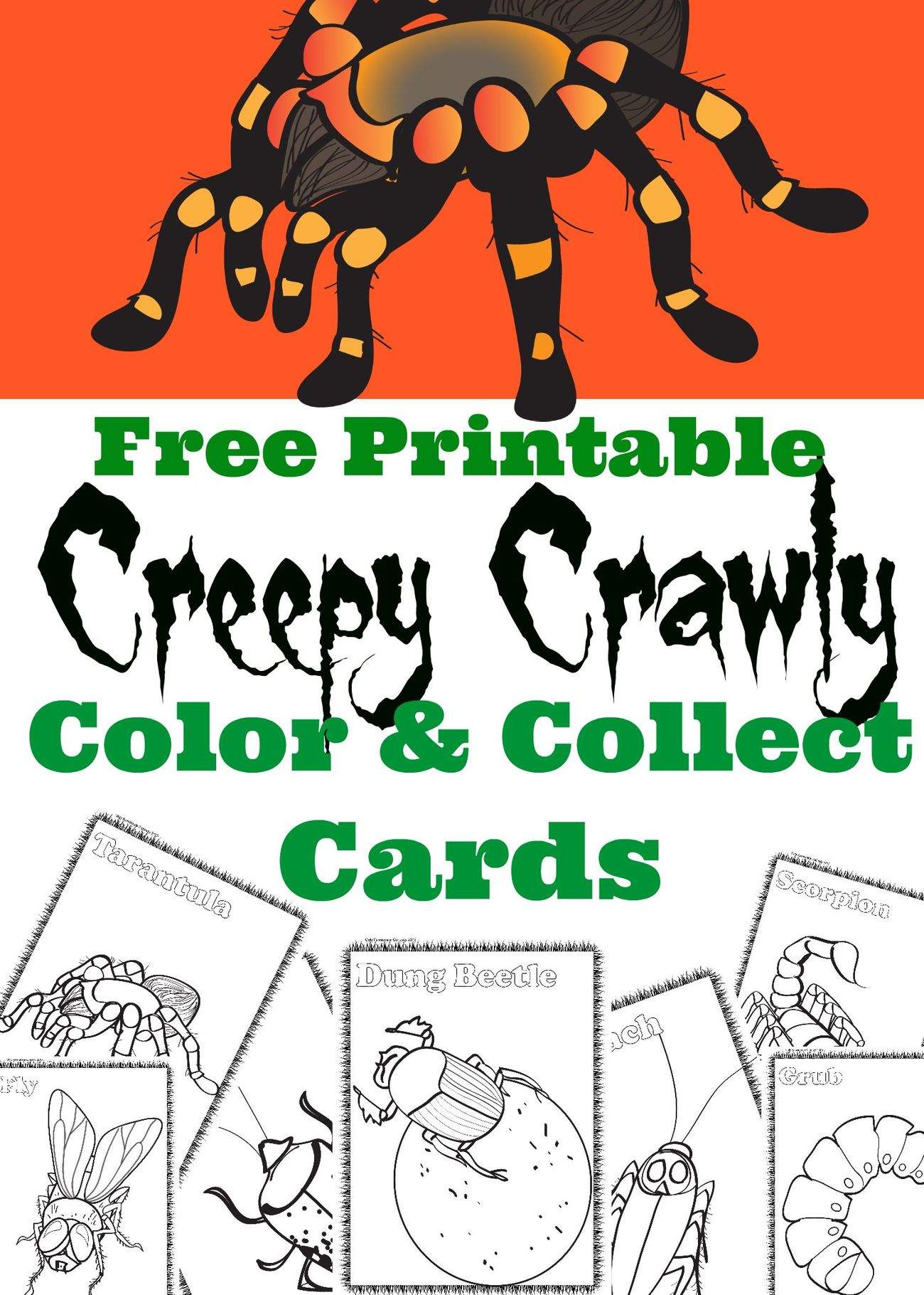 Creepy Crawly Color and Collect Cards