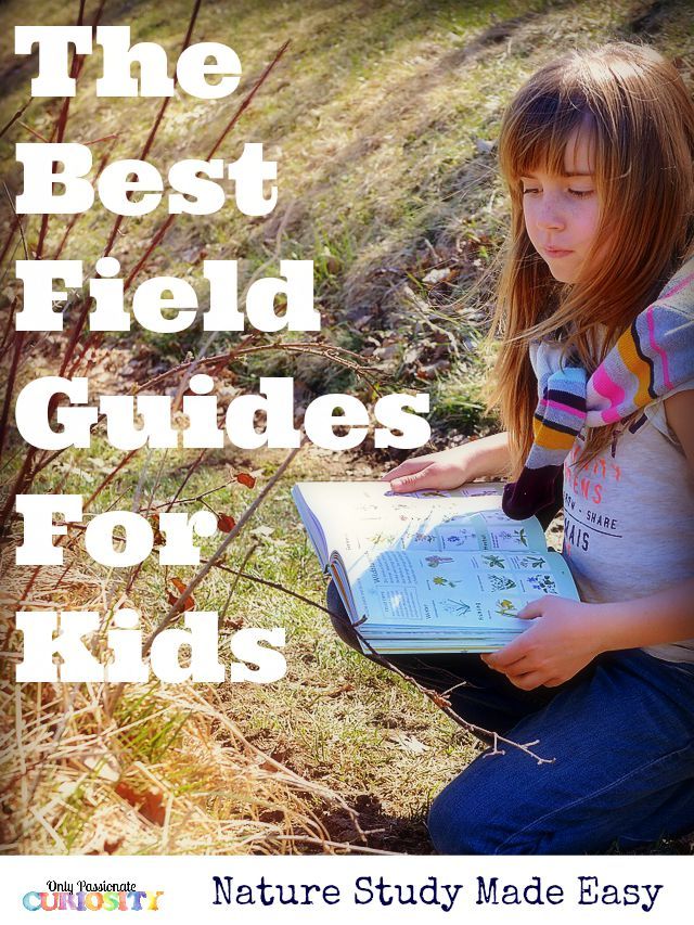 The Best Field Guides for Kids