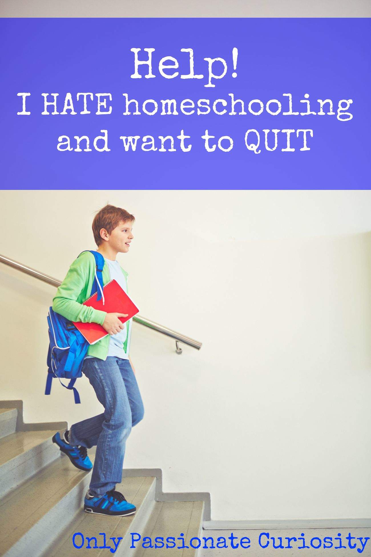 So you REALLY want to quit homeschooling