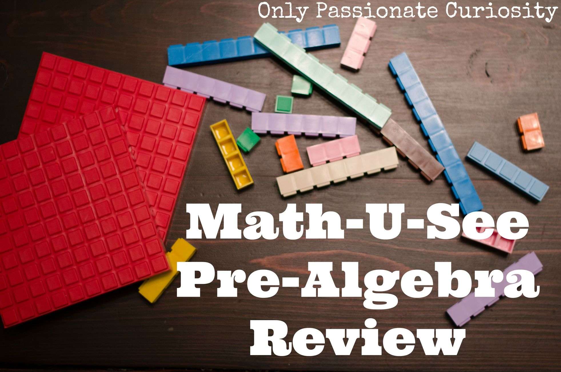 Math U See Pre-Algebra Review
