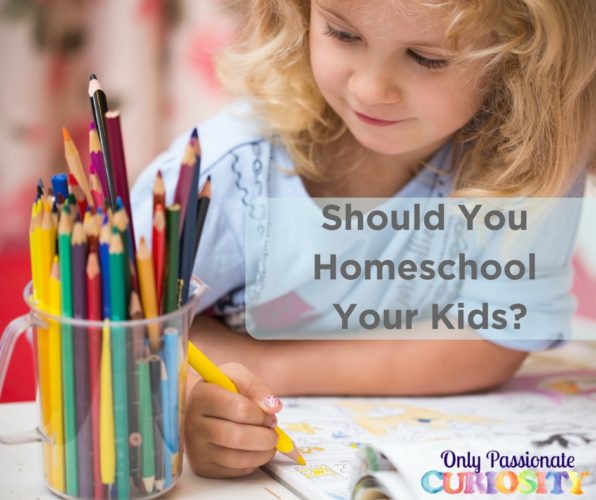 Should You Homeschool Your Kids-