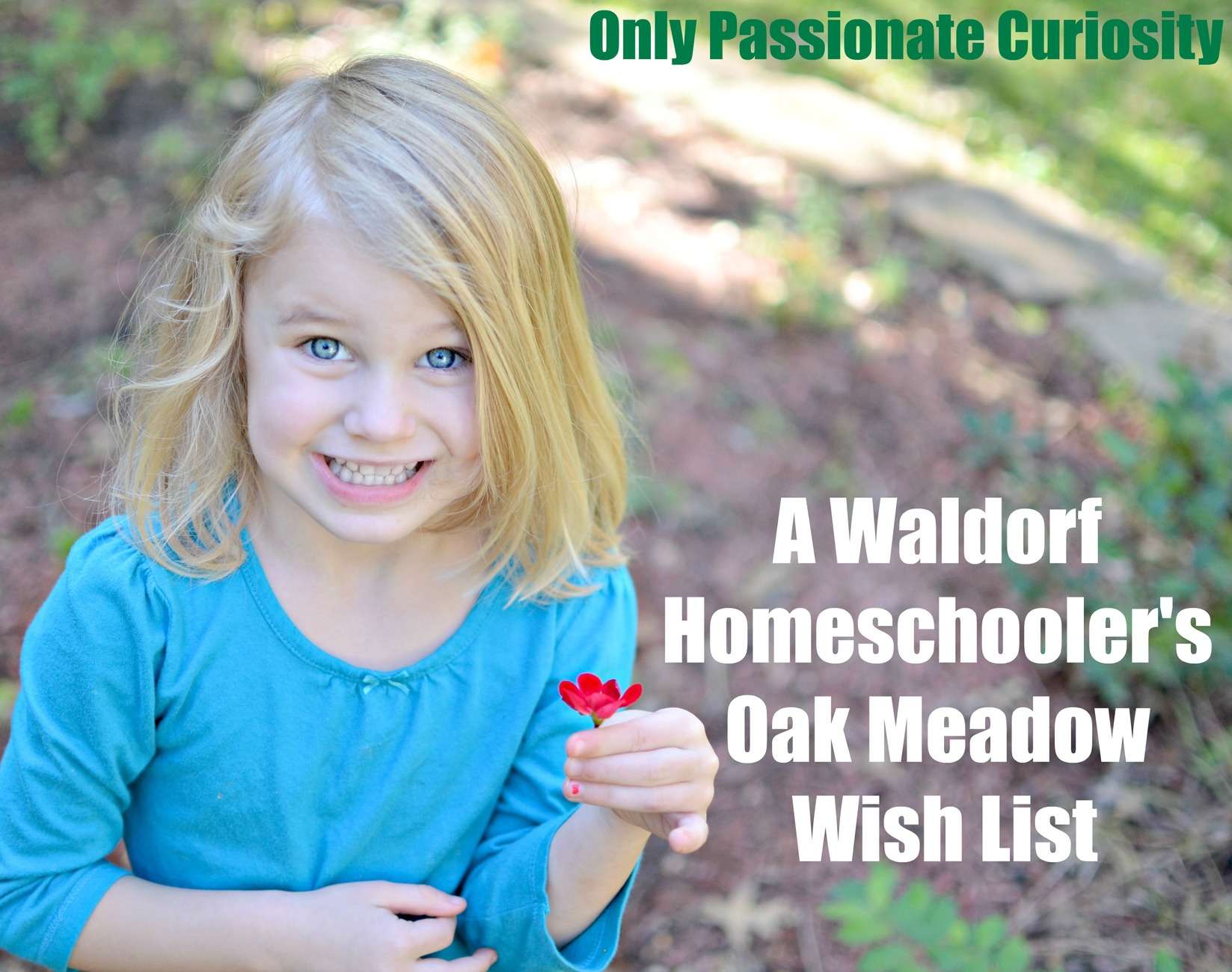 A Waldorf Homeschooler’s Oak Meadow Wishlist