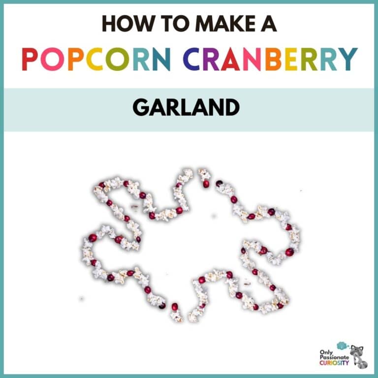 How to Make a Popcorn Cranberry Garland