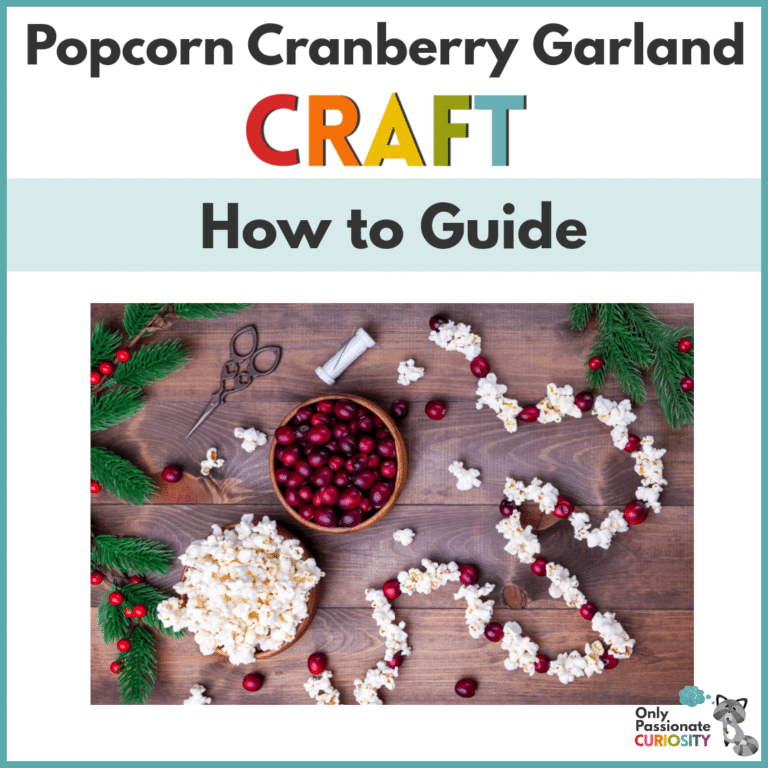 How to Make a Popcorn Cranberry Garland