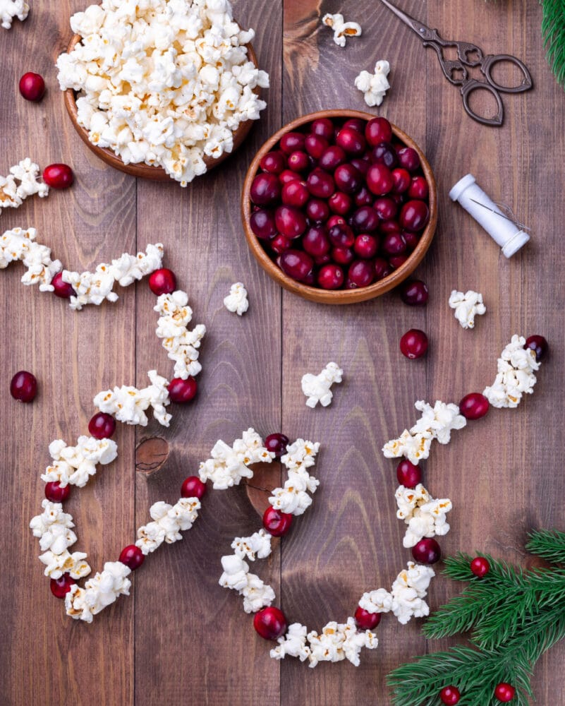 cranberry popcorn garland