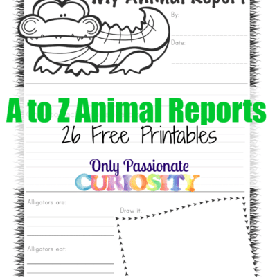 ABC Animal Reports