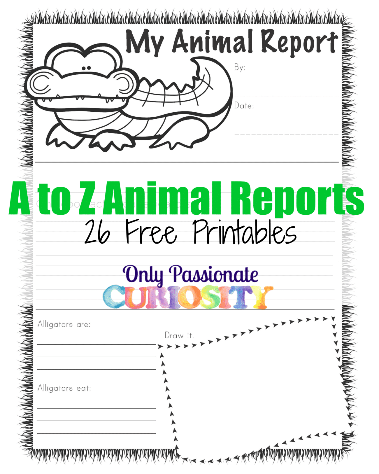 ABC Animal Reports