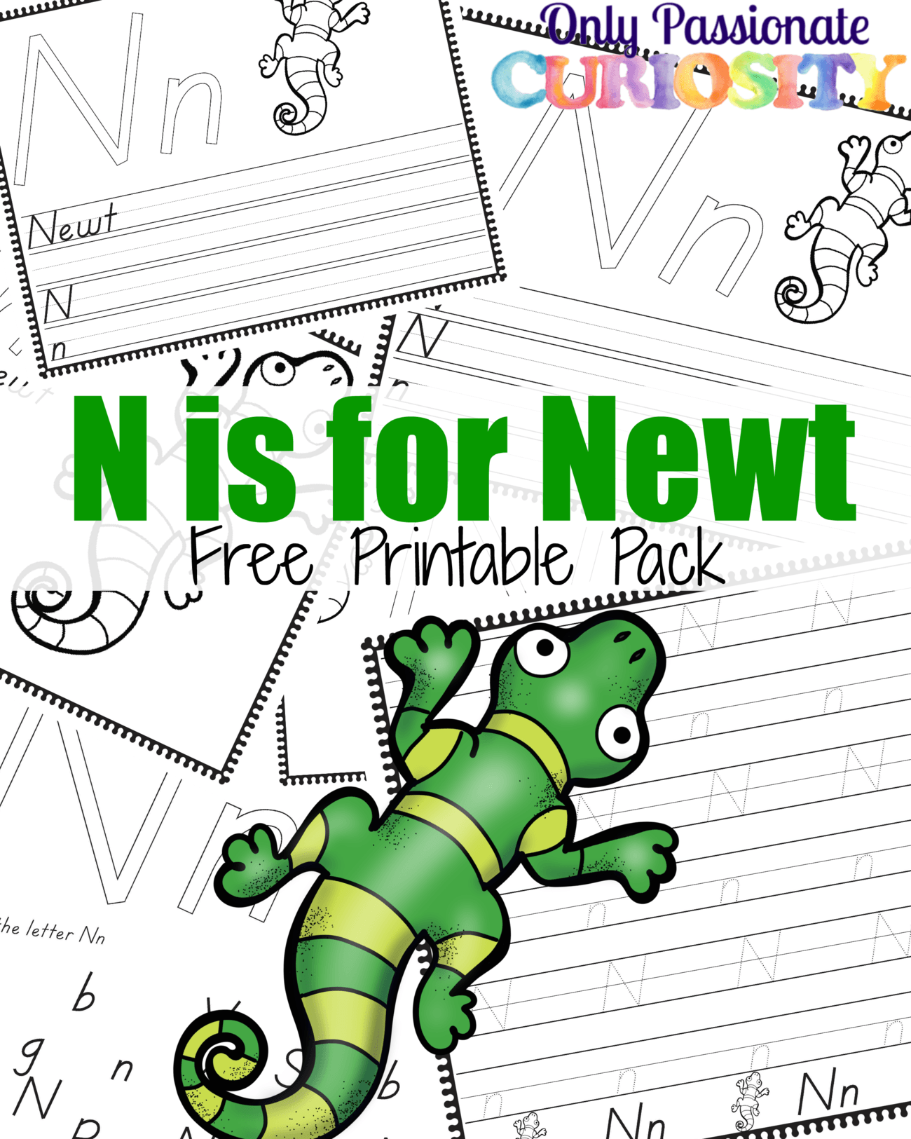 N is for Newt Handwriting Activity Pack
