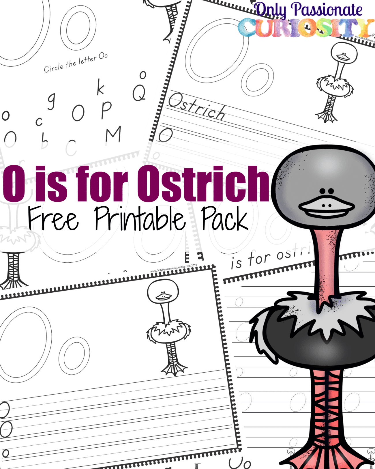 O is for Ostrich Handwriting Activity Pack