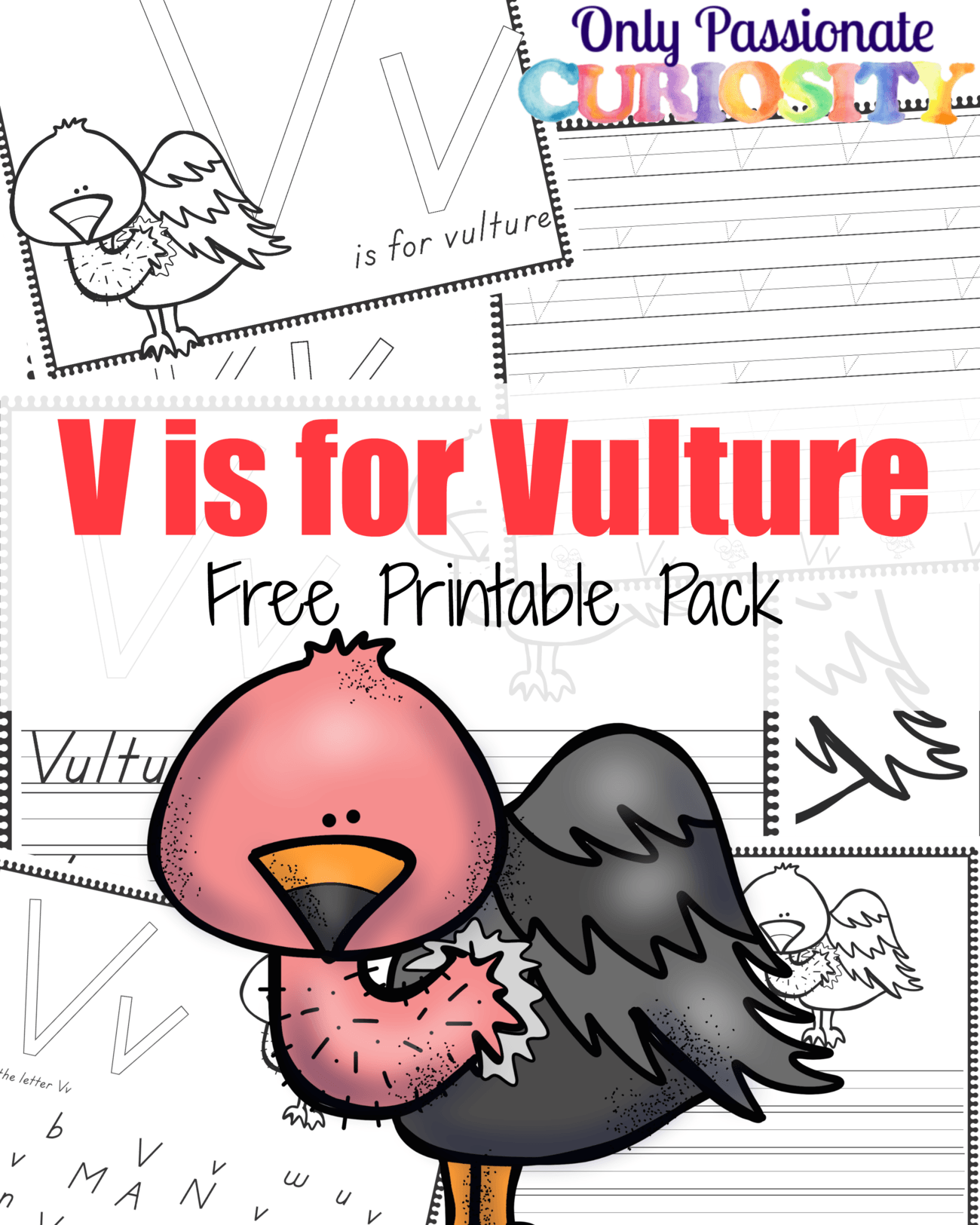 V is for Vulture Handwriting Activity Pack